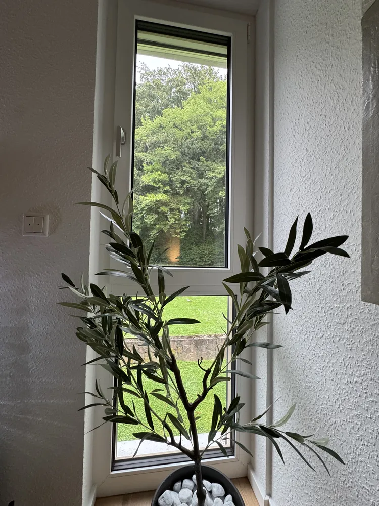 3 Zimmer Wohnung mit 78 m² in Bielefeld – Bild 4