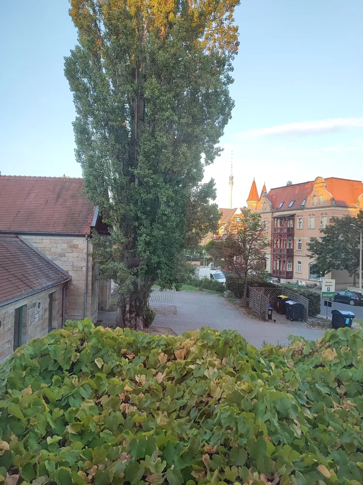 2 room apartment with 44 m² in Dresden – Photo 6