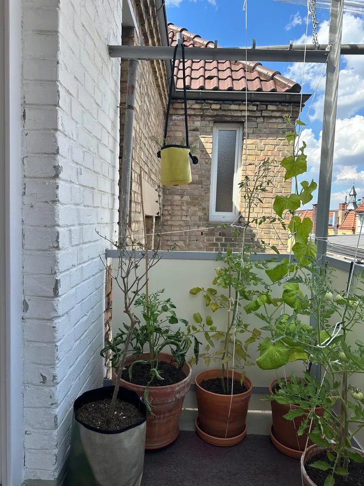 2 Zimmer Wohnung mit 62 m² in Stuttgart – Bild 10