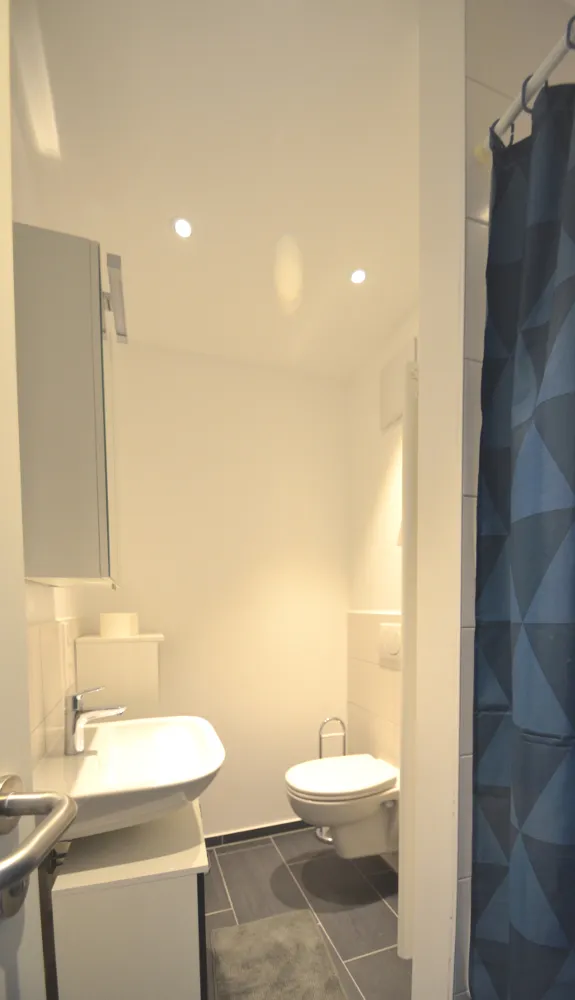 1 room apartment with 32 m² in Frankfurt am Main – Photo 11
