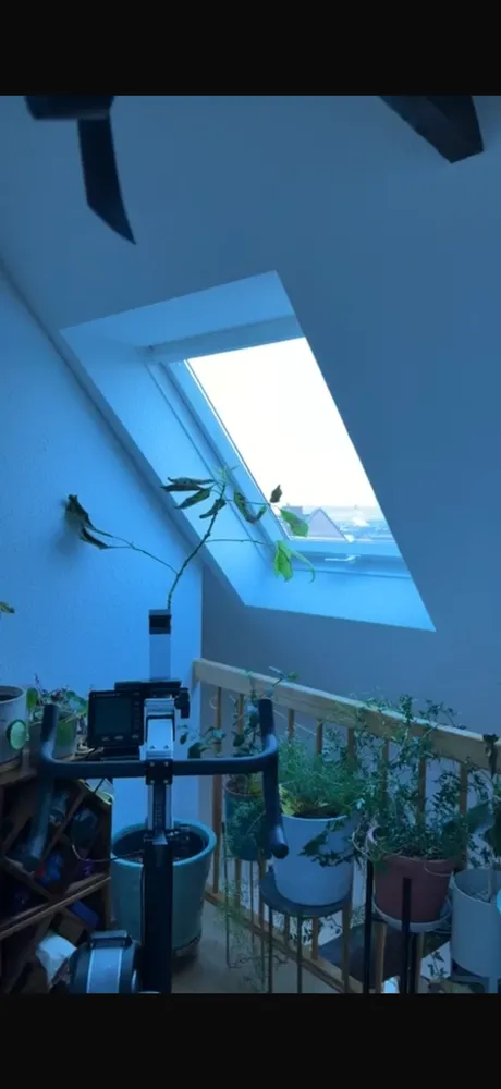 2 room apartment with 65 m² in Erfurt – Photo 5