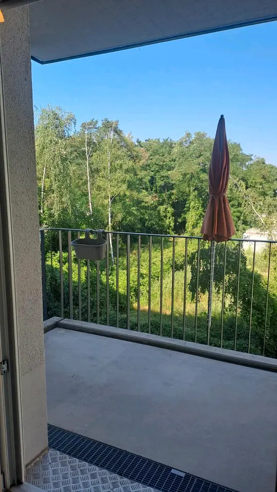 2 Zimmer Wohnung mit 59 m² in Dresden – Bild 3