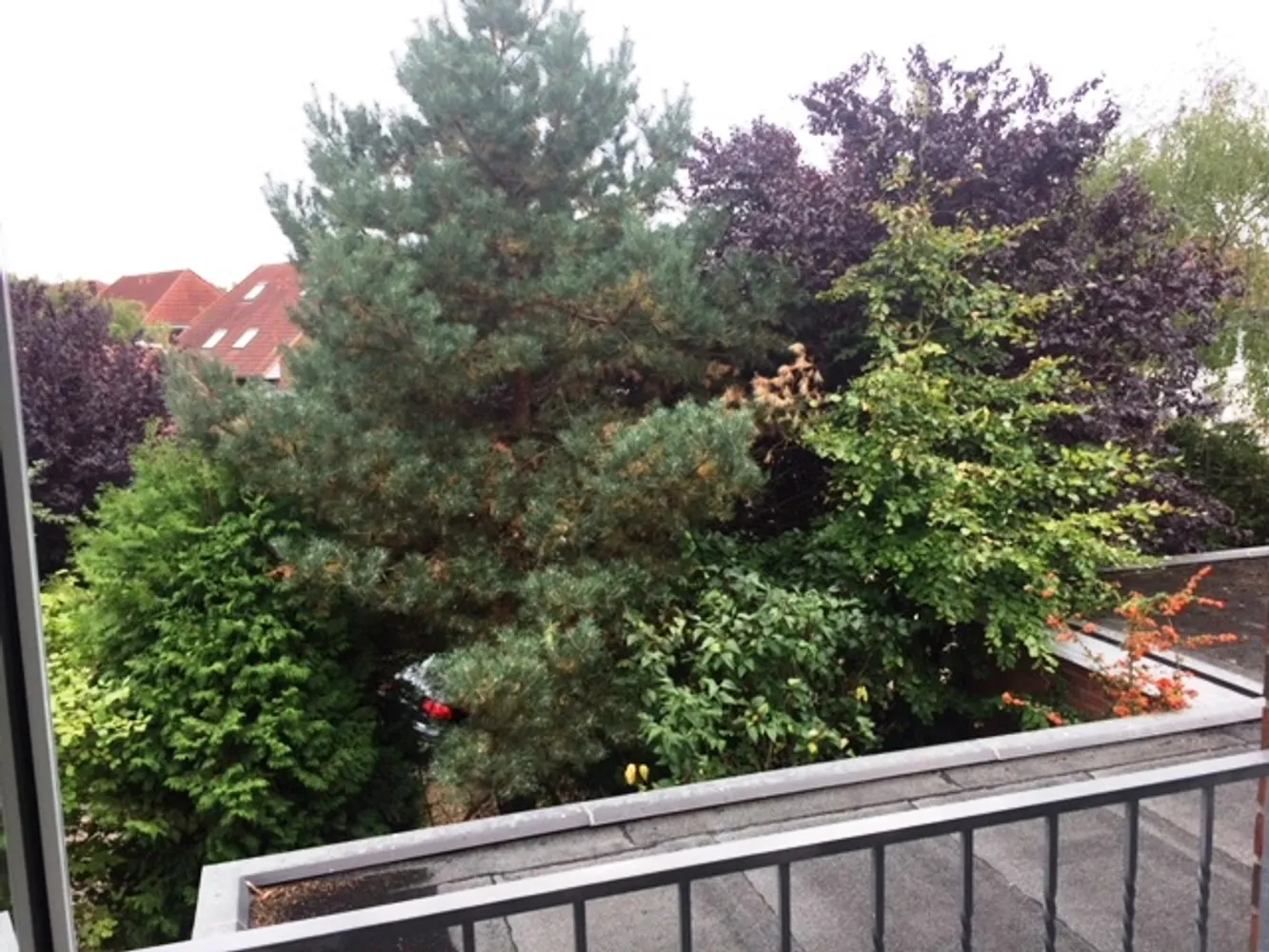 2 room apartment with 65 m² in Lüneburg – Photo 3