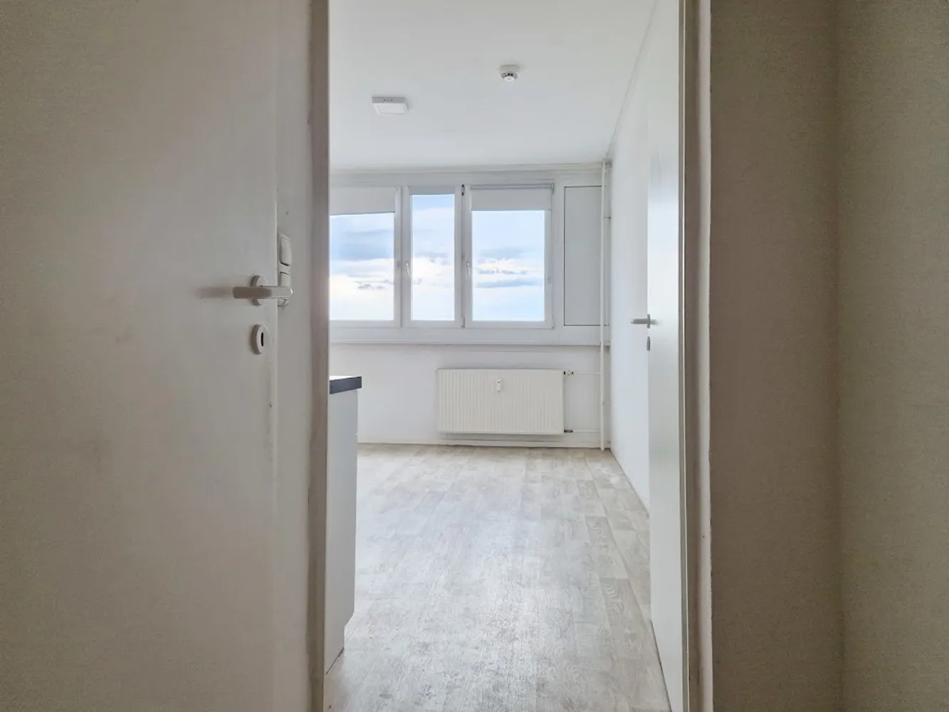 1 room apartment with 23 m² in Halle (Saale) – Photo 3