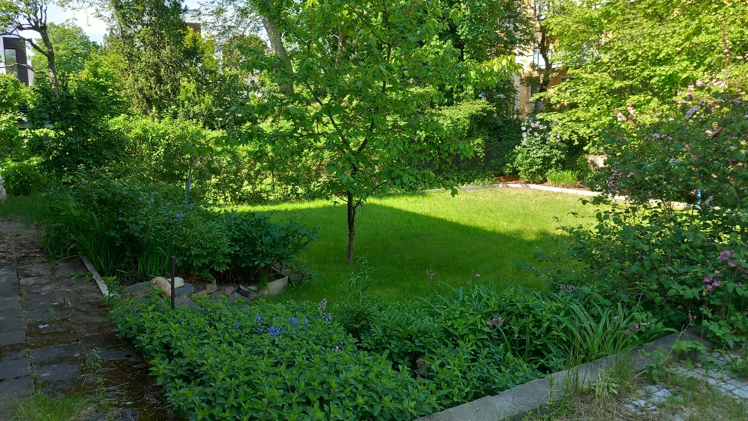 2 Zimmer Wohnung mit 45 m² in Berlin – Bild 6