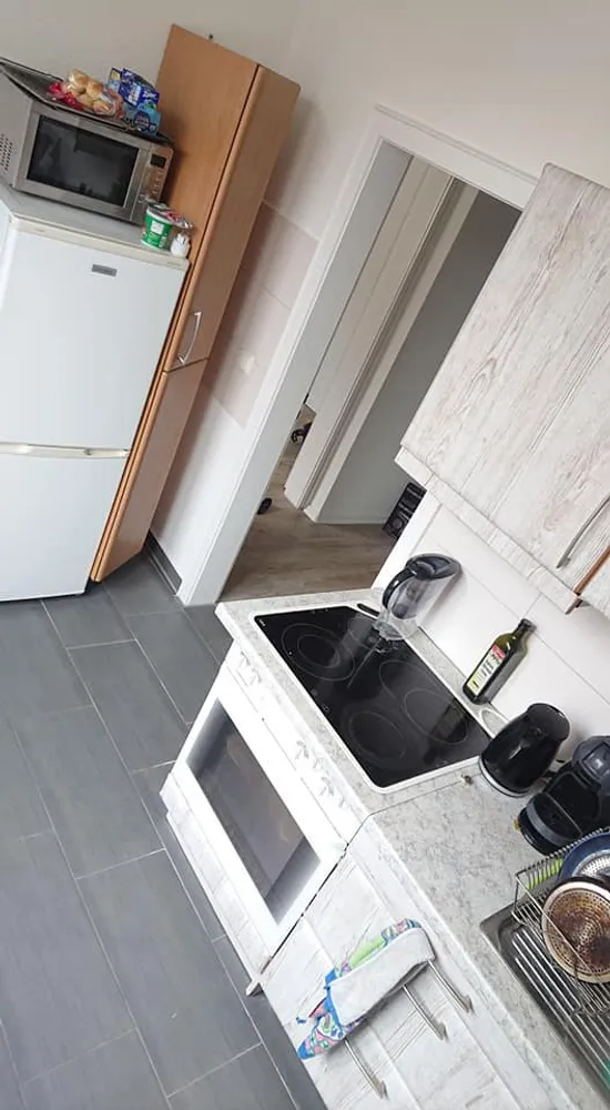 2 Zimmer Wohnung mit 520 m² in Dresden – Bild 2