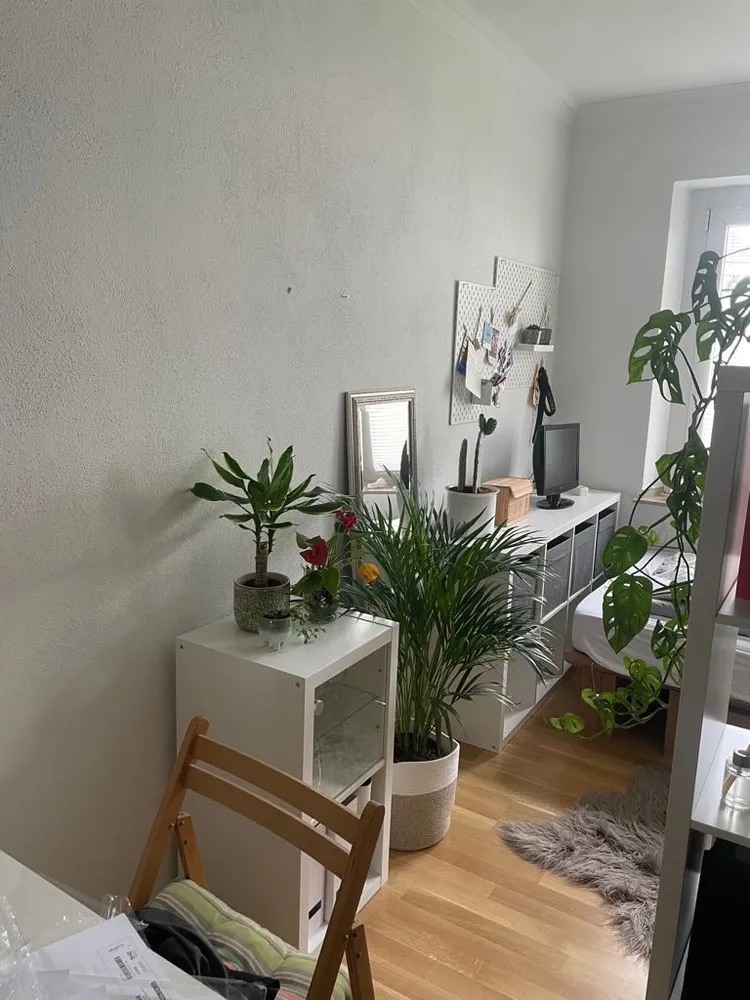 2 Zimmer Wohnung mit 27 m² in Mönchengladbach – Bild 6