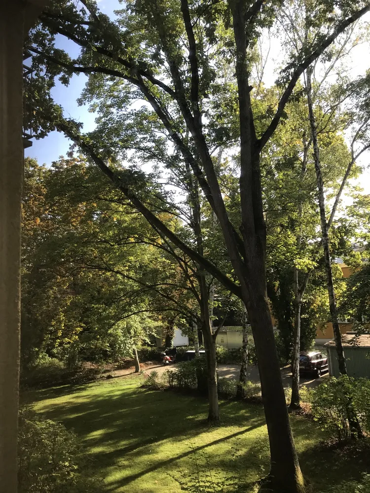 1 Zimmer Wohnung mit 30 m² in Berlin – Bild 7