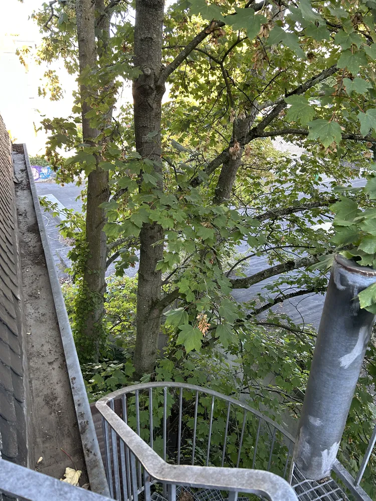 2 Zimmer Wohnung mit 54 m² in Krefeld – Bild 12