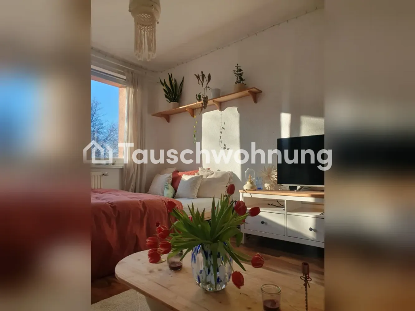 1 Zimmer Wohnung mit 28 m² in Erfurt – Bild 4