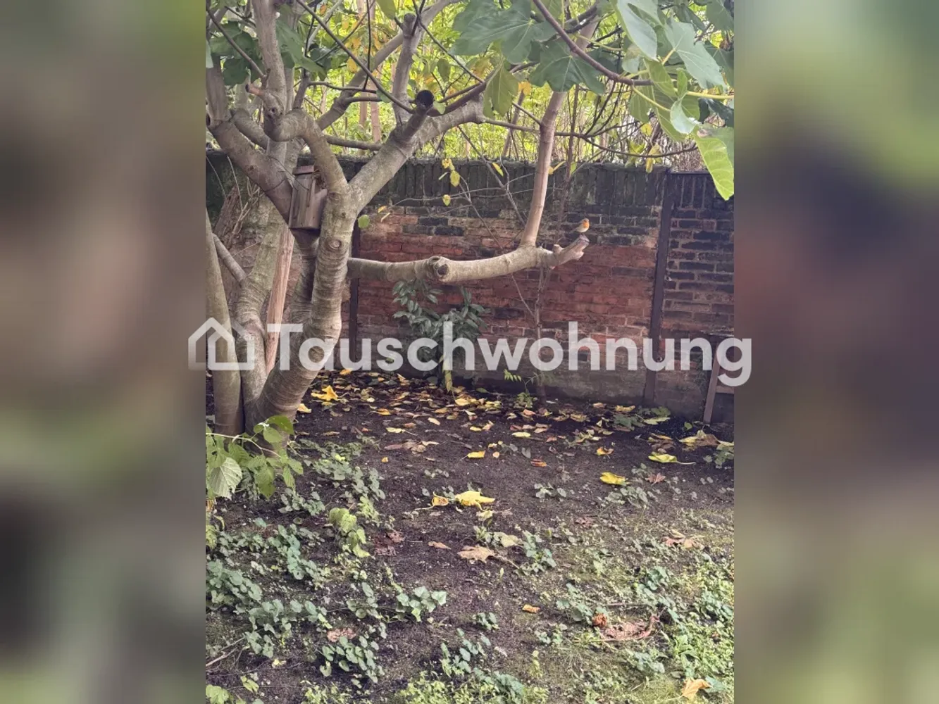 4 room apartment with 95 m² in Frankfurt am Main – Photo 3
