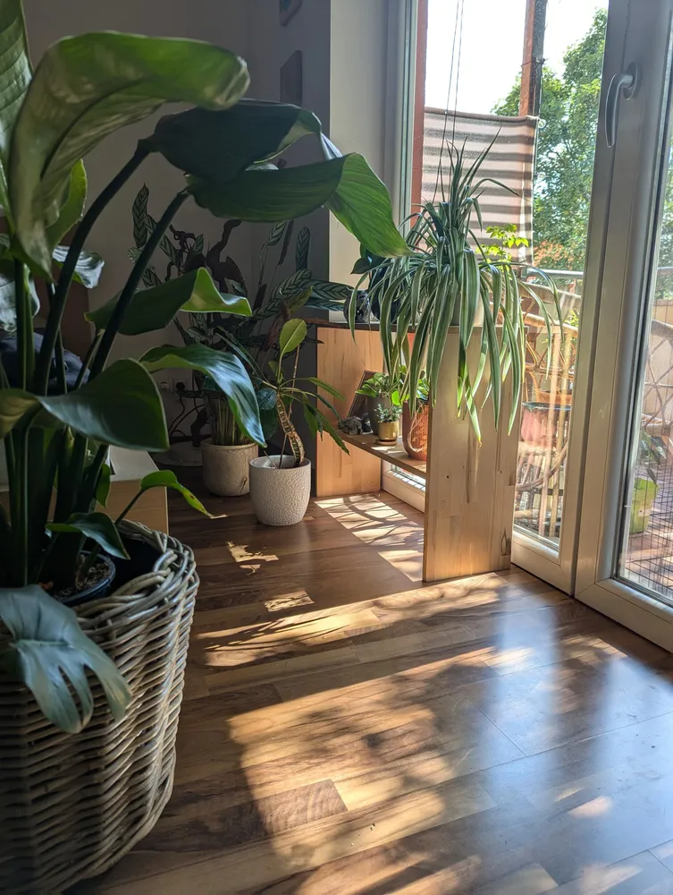 2 Zimmer Wohnung mit 50 m² in Köln – Bild 3