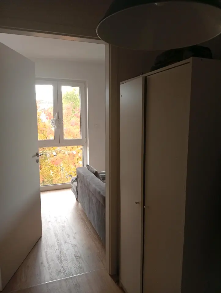 2 Zimmer Wohnung mit 39 m² in Dresden – Bild 7