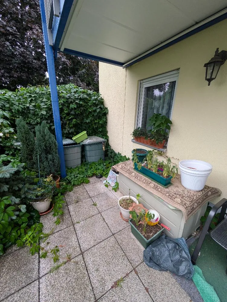 2 room apartment with 64 m² in Chemnitz – Photo 2