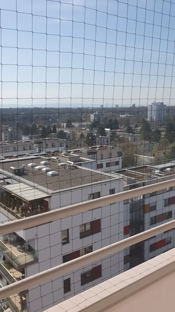 1 room apartment with 26 m² in Mannheim – Photo 4