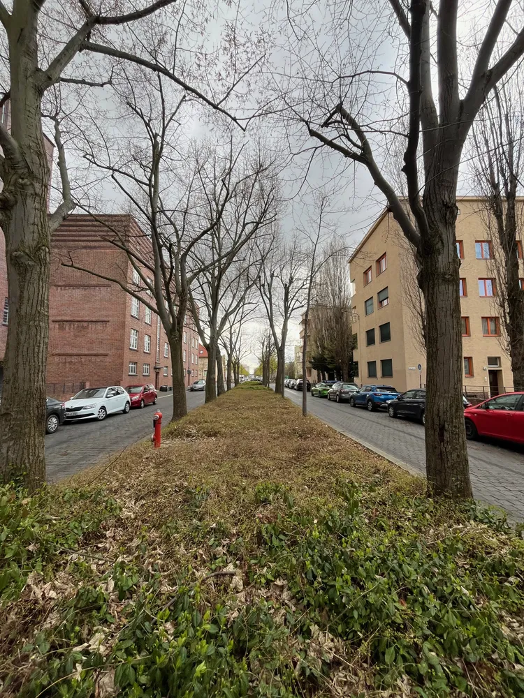 2 Zimmer Wohnung mit 67 m² in Leipzig – Bild 11