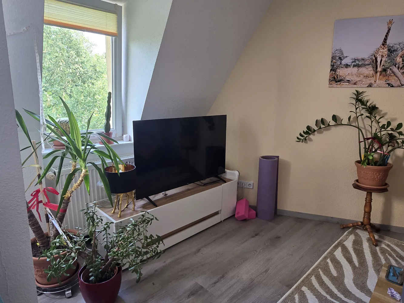 2 Zimmer Wohnung mit 54 m² in Potsdam – Bild 1