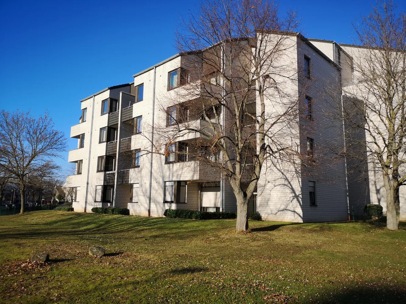 1 Zimmer Wohnung mit 23 m² in Bonn – Bild 3