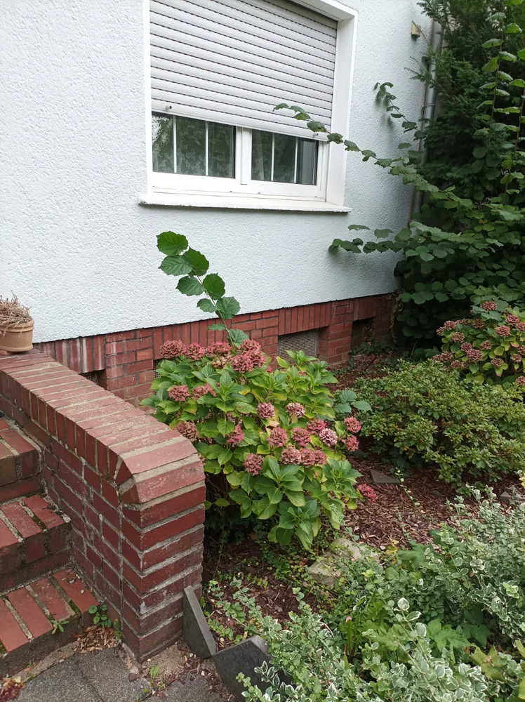4 Zimmer Wohnung mit 76 m² in Neuss – Bild 1