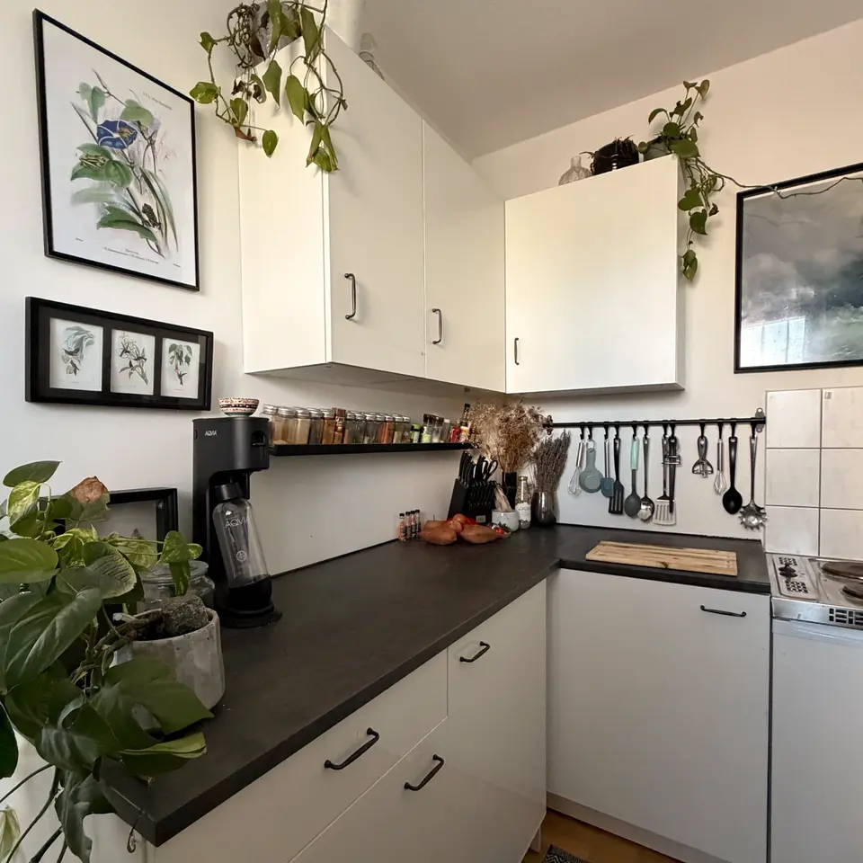 2 Zimmer Wohnung mit 30 m² in Halle (Saale) – Bild 4