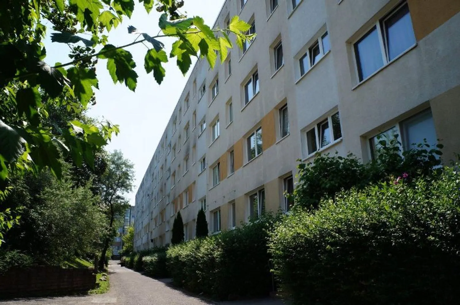 3 Zimmer Wohnung mit 53 m² in Schwerin – Bild 2