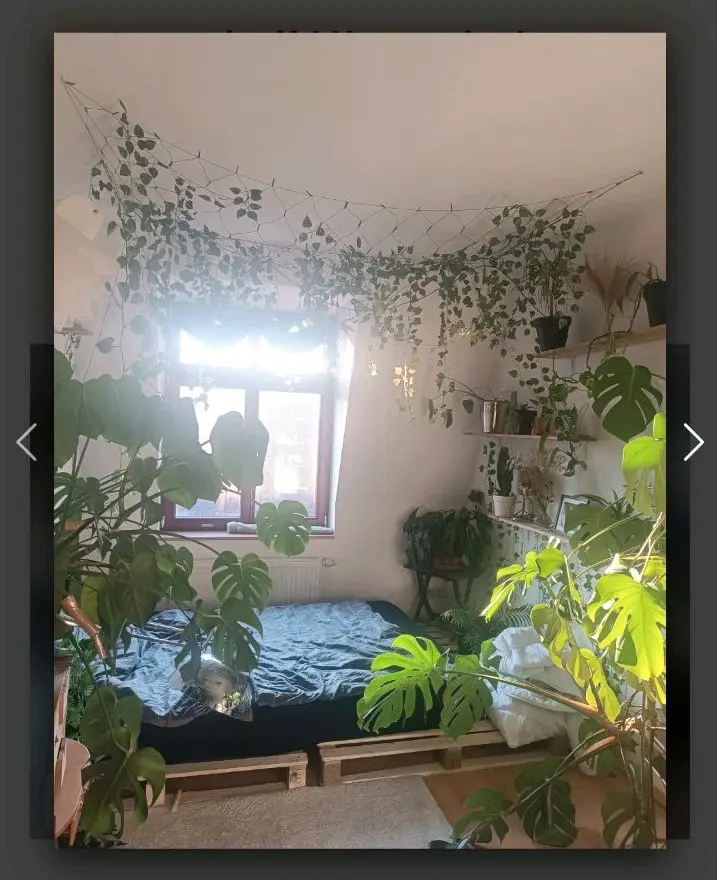 2 Zimmer Wohnung mit 59 m² in Dresden – Bild 2