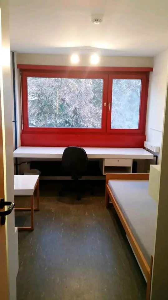 2 Zimmer Wohnung mit 14 m² in Ulm – Bild 1