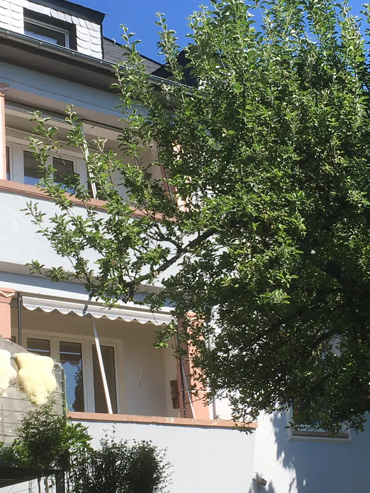 6 Zimmer Wohnung mit 155 m² in Trier – Bild 8