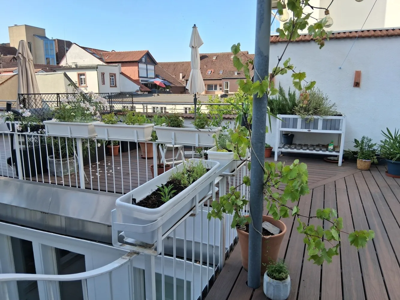 3 Zimmer Wohnung mit 95 m² in Mannheim – Bild 3