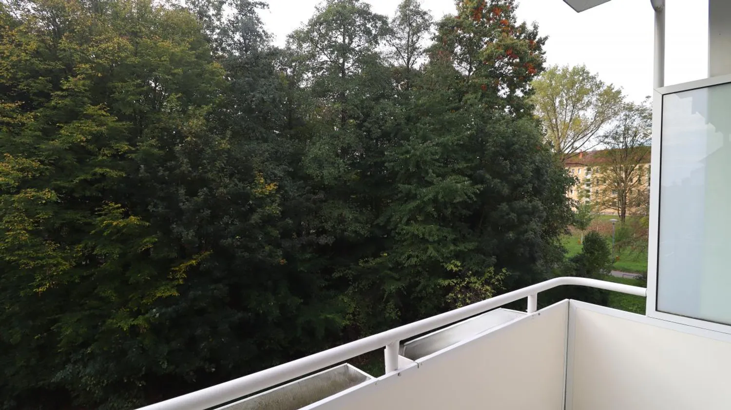 2 room apartment with 48 m² in Chemnitz – Photo 8