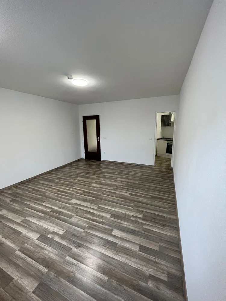 1 Zimmer Wohnung mit 33 m² in Ludwigshafen am Rhein – Bild 1