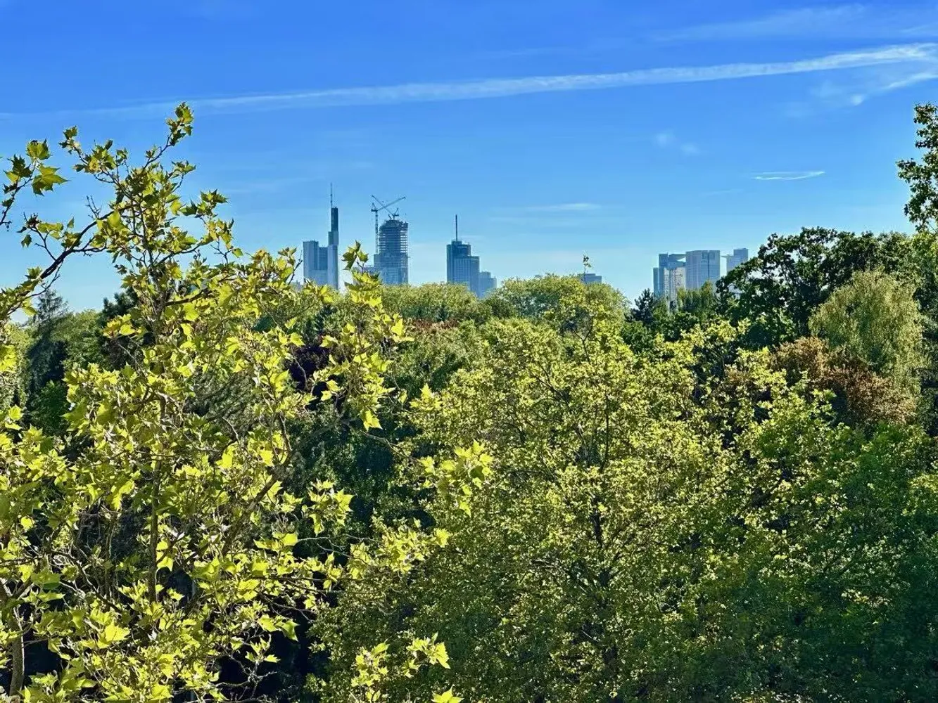 2 Zimmer Wohnung mit 52 m² in Frankfurt am Main – Bild 8