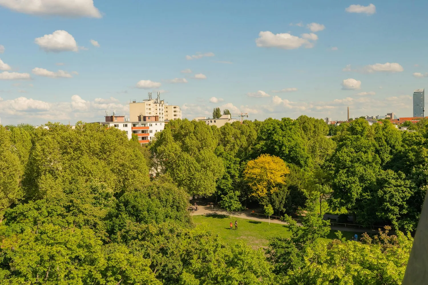 Shared room with 49 m² in Berlin – Photo 4