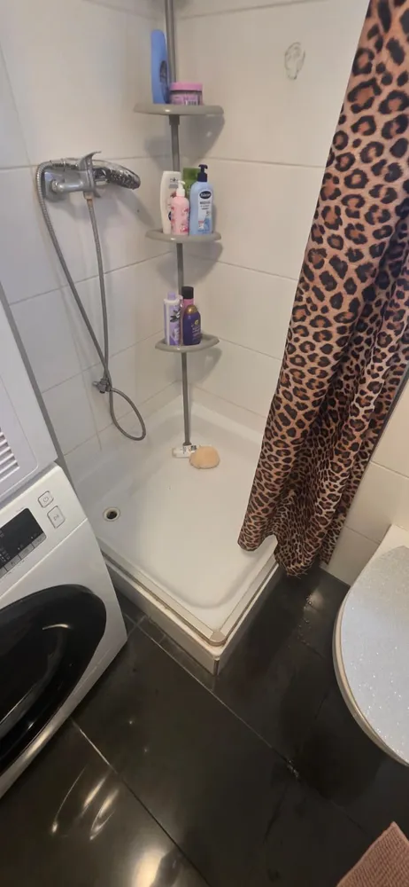 3 Zimmer Wohnung mit 75 m² in Mannheim – Bild 4