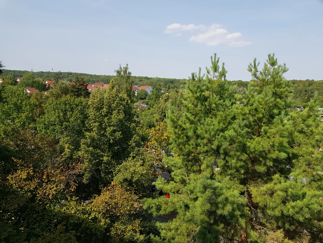3 room apartment with 60 m² in Gotha – Photo 4