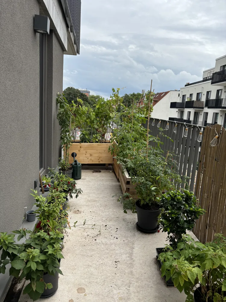 2 Zimmer Wohnung mit 53 m² in Göttingen – Bild 1