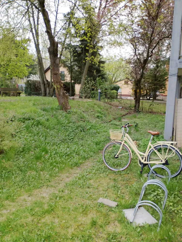 3 room apartment with 71 m² in Berlin – Photo 3