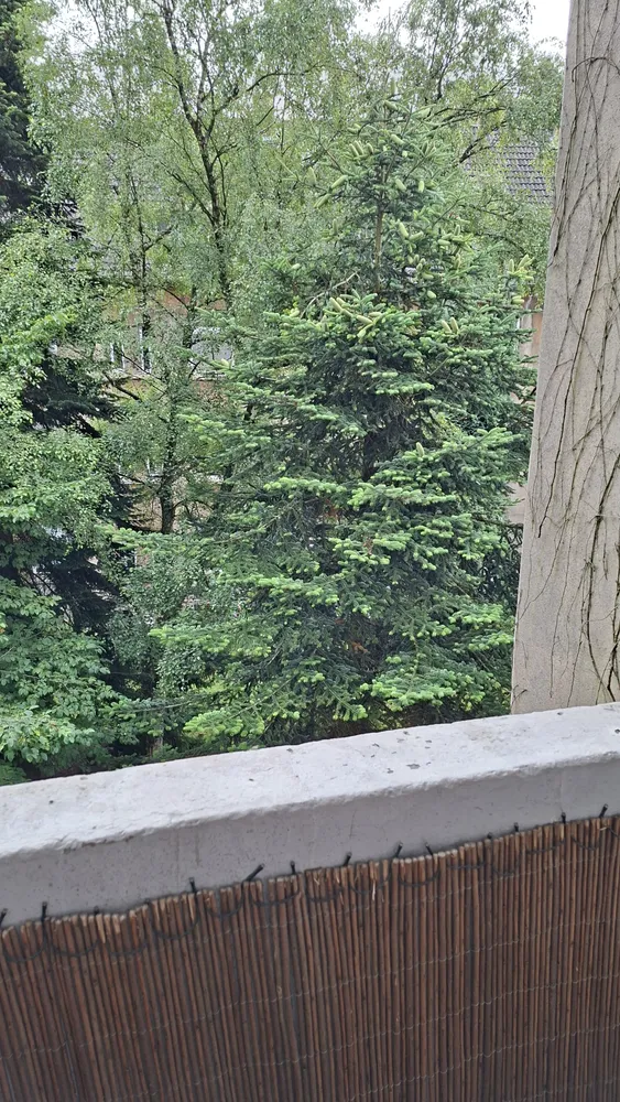 3 Zimmer Wohnung mit 78 m² in Gelsenkirchen – Bild 6