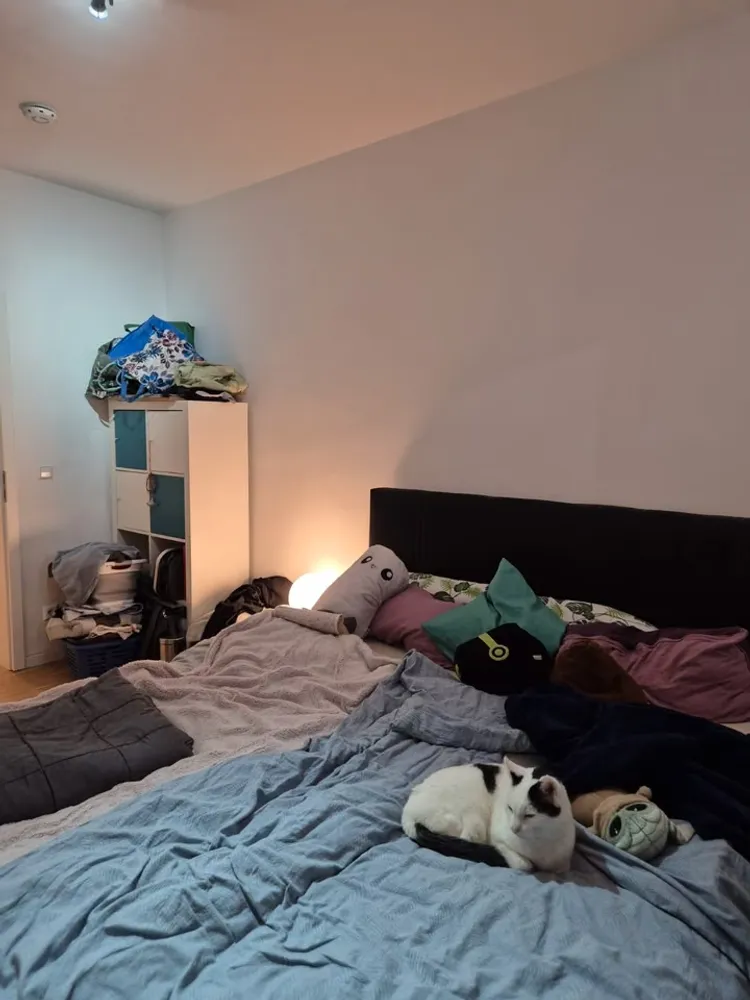 2 Zimmer Wohnung mit 57 m² in Mannheim – Bild 7