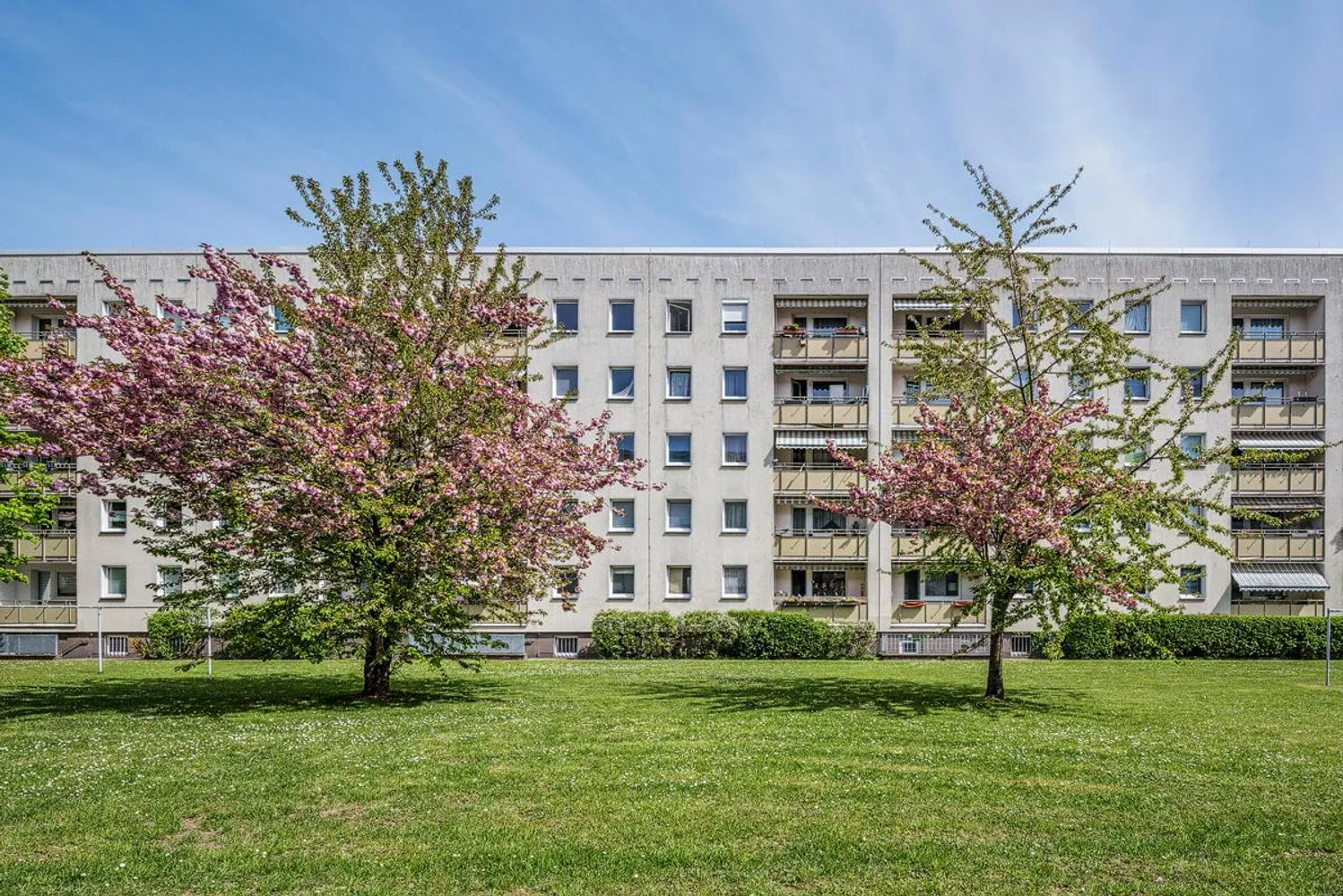 2 Zimmer Wohnung mit 38 m² in Dresden – Bild 1