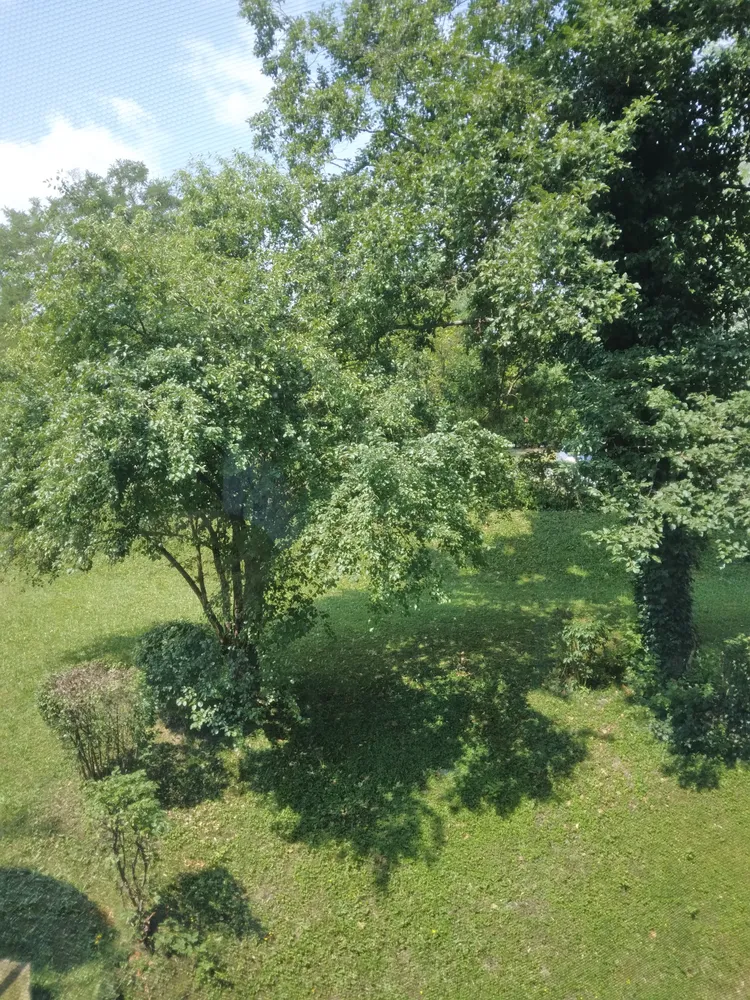1 Zimmer Wohnung mit 20 m² in Passau – Bild 4