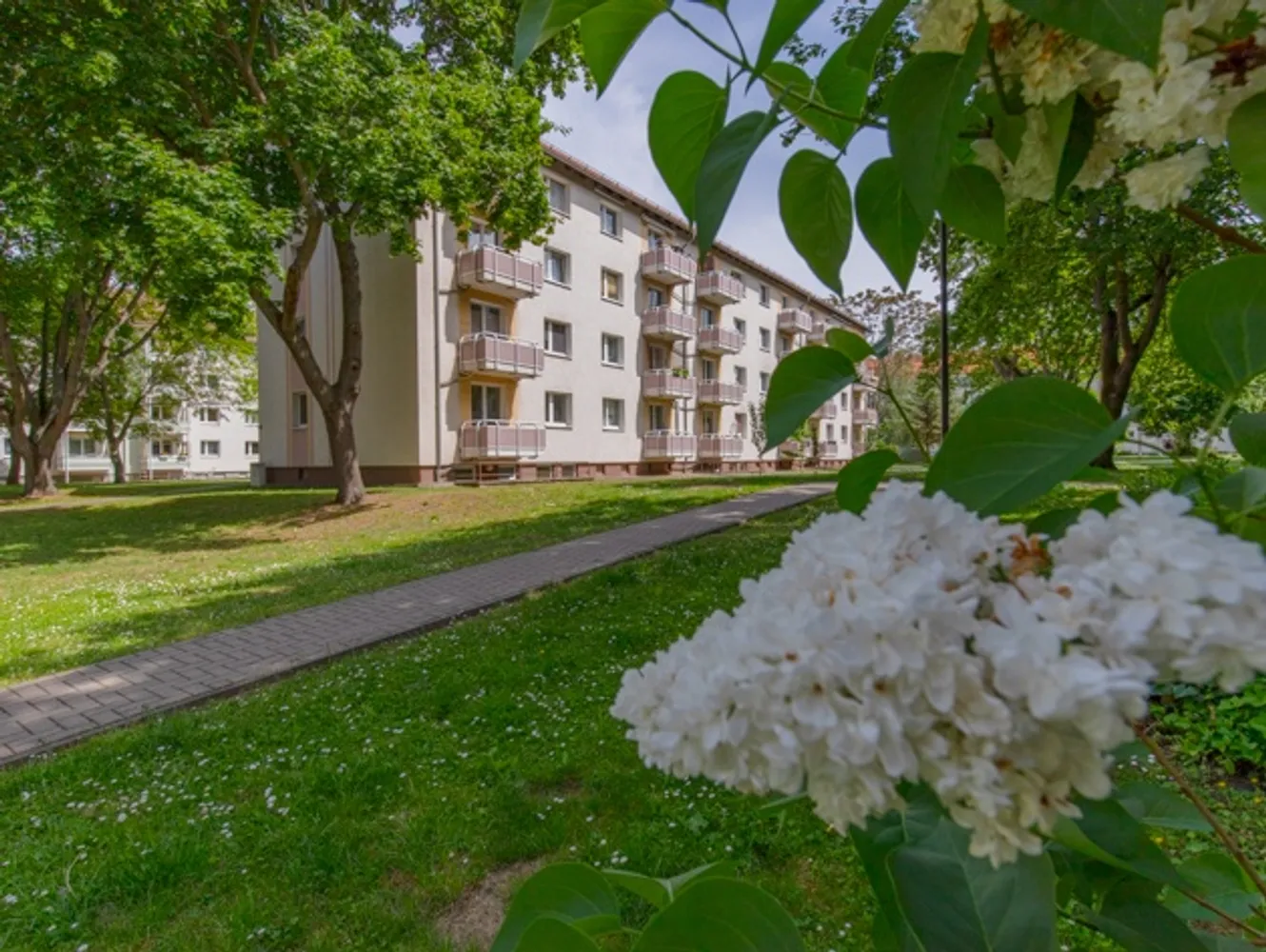 3 Zimmer Wohnung mit 60 m² in Magdeburg – Bild 2