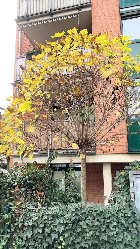 2 Zimmer Wohnung mit 75 m² in Düsseldorf – Bild 2