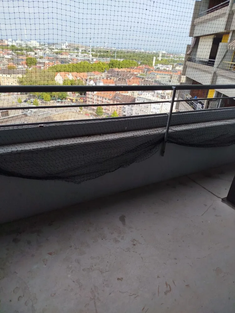 2 Zimmer Wohnung mit 61 m² in Mannheim – Bild 2