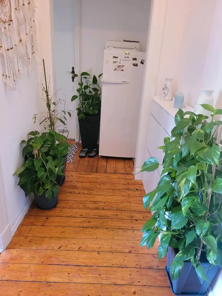 3 Zimmer Wohnung mit 63 m² in Bielefeld – Bild 6
