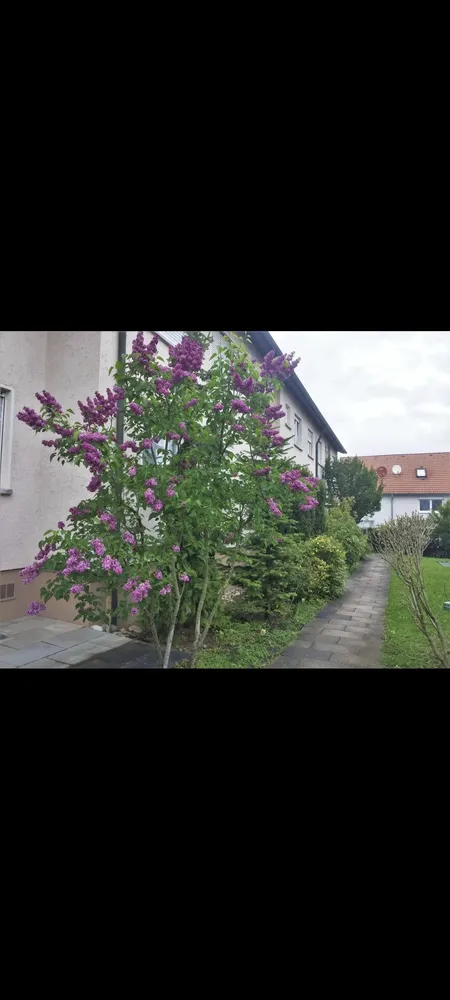 1 Zimmer Wohnung mit 18 m² in Stuttgart – Bild 3