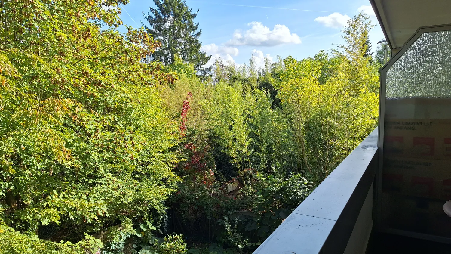 1 Zimmer Wohnung mit 34 m² in Frankfurt am Main – Bild 10