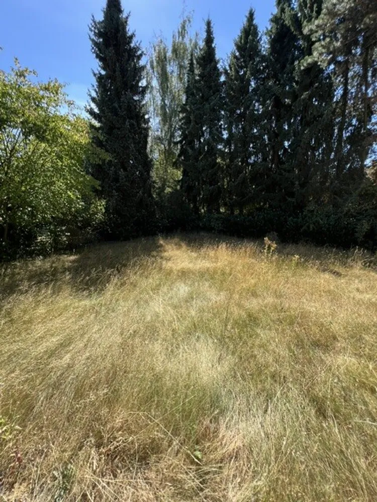 5 Zimmer Haus mit 185 m² in Sankt Augustin – Bild 3