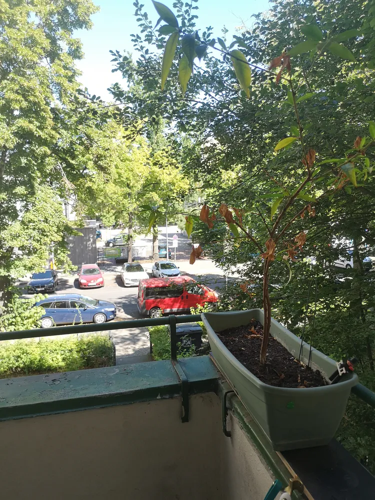 3 room apartment with 18 m² in Berlin – Photo 3