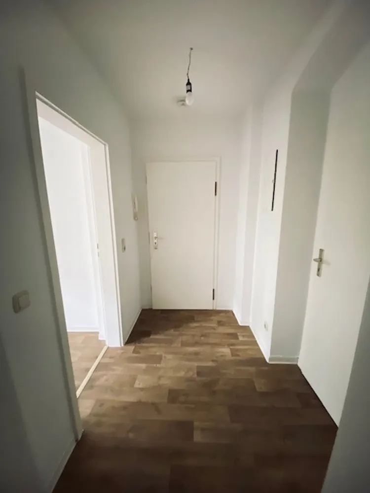 2 room apartment with 59 m² in Dresden – Photo 5